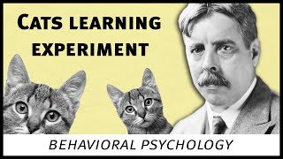 Edward Thorndike cats experiment behavioral psychology [upl. by Remmus]