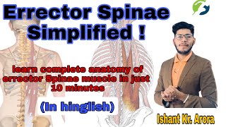 Back musculature  Erector Spinae Simplified  Anatomy  Ishant Kumar Arora  PhyX Pain Solutions [upl. by Bickart]