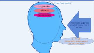 Modele de traitement de linformation [upl. by Lochner]