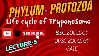 Life Cycle of Trypanosoma  Sleeping Sickness  Zoology  Parasitology  Notes in Description [upl. by Annemarie]