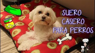 Suero casero para perritos deshidratados  recetas para mascotas en casa [upl. by Jecoa]