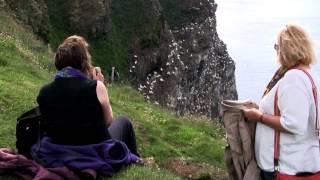 Gannet colony at Troup Head Scotland [upl. by Anelaf]