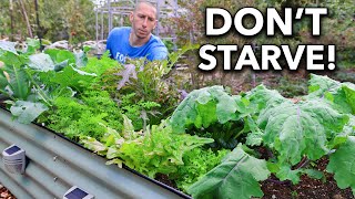 10 ColdHardy Crops You Can Grow Through the Winter Grow at 30°F [upl. by Daisey]