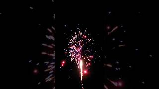 Dragons Hit Back 25s Firework pyro pyroapproved banger pyroaddict [upl. by Traci452]