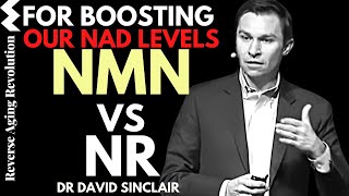 NMN vs NR For Boosting Our NAD Levels  Dr David Sinclair Interview Clips [upl. by Akcire412]