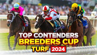 Breeders Cup Turf 2024  Top 3 Contenders [upl. by Blackmun]