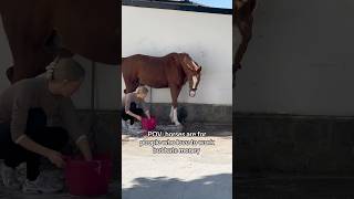 💩🙊💧 equestrian horse horses pony pferde cheval hest trending funny [upl. by Guenzi]