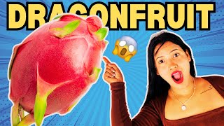 बाप रे‼️ Pehli बार खाया quotDRAGONFRUIT 😱🥵 l VLOG 230 l Jyoti Negi [upl. by Clover]