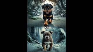 Rottweiler Puppy vs Pitbull puppy  German Shepherd Husky Doberman labrador retriever Pointer [upl. by Tadio]