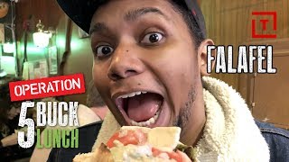 The Best Cheap Falafel in NYC  5 Buck Lunch [upl. by Nahtonoj]