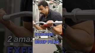 2 amazing Exercises for Bicep Peak 💪 shorts [upl. by Luehrmann645]