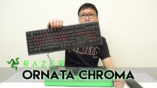 รีวิว RAZER ORNATA Chroma [upl. by Nnylanna]