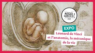 🫀 Expo Léonard de Vinci et l’anatomie la mécanique de la vie  reportage Nouvelles Renaissances [upl. by Holzman804]