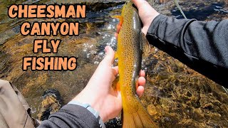 Fly Fishing Cheesman Canyon near Deckers Colorado [upl. by Lynsey]