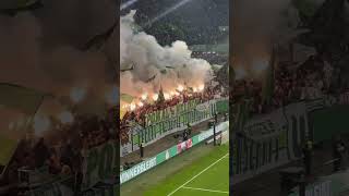 Vfl Wolfsburg 🟢⚪️ wolfsburg vflwolfsburg bundesliga ultras germanfootball pyro [upl. by Marabel893]