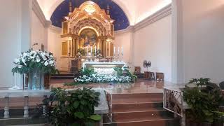 06 OCTOBER 2024 LIVING ROSARY AND SUNDAY MASS [upl. by Doykos498]