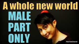 A whole new world KaraokeMALE part vocals only  男性（アラジン）パートのみ [upl. by Eellac]