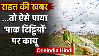 Locust Attack  हवा के रुख ने फिर Pakistani Locust को पश्चिम की ओर लौटाया  वनइंडिया हिंदी [upl. by Iralam836]