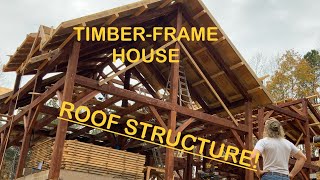 Building the ROOF on our custom offgrid TIMBERframed DREAM HOUSE  Ep 16  BDOTT [upl. by Eire]