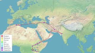 MTDNA Results  mtFull Sequence  SNP Tracker  yfull m1b2 [upl. by Anum]