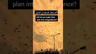 quotSurah Al Fil  A Powerful Story Of Allahs Protectionquot surahalfil quranrecitation [upl. by Philps412]