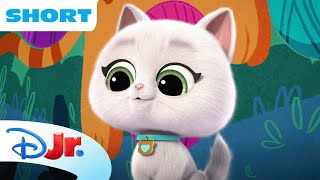 SuperKitties SuPurr Adventures  Bitsys Transportation Tube Trouble  disneyjr [upl. by Roselani803]