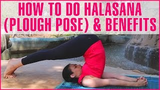 How To Do HALASANA PLOW POSE amp Its Benefits [upl. by Caesaria]