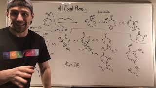 Introduction to Phenols Characteristics and Naming [upl. by Sadiras344]