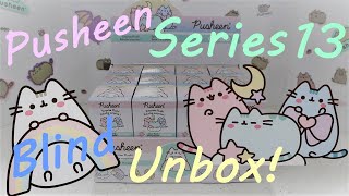 🌈 Pusheen Rainbow Series 13 Plush Surprise Blind Unbox [upl. by Boeke20]