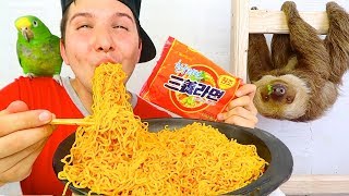 Korean Beef Ramen Noodles With My Sloth • MUKBANG [upl. by Matusow227]