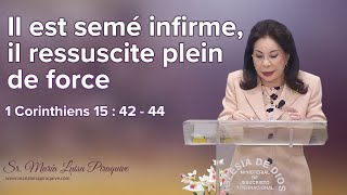 Questions et réponses  Il est semé infirme il ressuscite plein de force  Sr Maria Luisa [upl. by Llemij207]