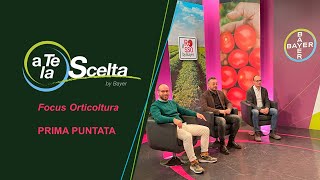 «a Te la Scelta»  Il Rosso by Bayer lintegrazione tra Genetica e Protezione [upl. by Abas]