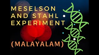 MESELSON AND STAHL EXPERIMENT Malayalam NEET PREPARATION [upl. by Ewald417]