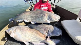 The MOST INSANE CATFISHING of my LIFE 200 lbs [upl. by Quillon]