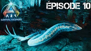 le taming du basilisk sur aberration  épisode 10 [upl. by Tutt442]