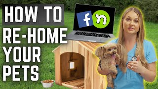 5 Tips to find your Dog a NEW HOME  amp No Shelter needed MUST WATCH [upl. by Rider115]