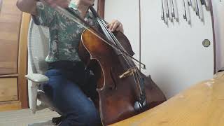 Downton Abbey Theme Song Cello Cover [upl. by Frye802]