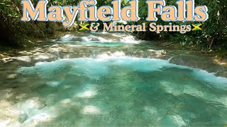 Mayfield FallsWestmoreland Jamaica 🇯🇲 Mineral Springs [upl. by Amorete955]