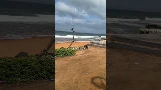 Kovalam Beach Thiruvanantapuram [upl. by Lessig]