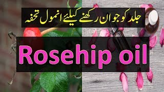 Benefits of Rosehip Oil UrduHindi [upl. by Ylla867]