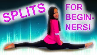 How to Learn SPLITS For BEGINNERS [upl. by Daphie]