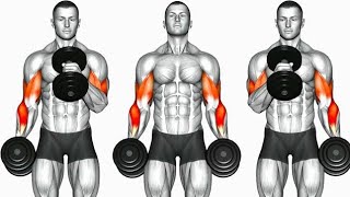 Biceps Workout 6 Best Exercises to build Strong Bicep [upl. by Nepil403]