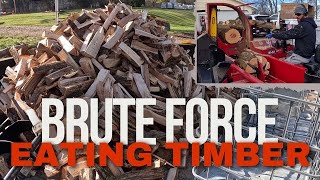 Processing knotty Crooked Timber Into Firewood [upl. by Lebasiairam231]