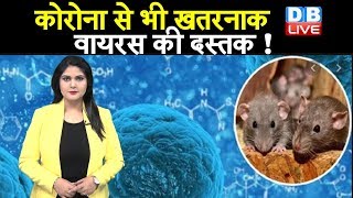 ये वायरस ज्यादा जानलेवा है  Corona Virus के बाद अब China से आया Hanta Virus [upl. by Aihsekan261]