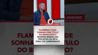 Em qual posição o FLAMENGO vai terminar o BRASILEIRÃO fã de esportes shorts [upl. by Ssepmet]