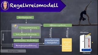 Regelkreismodell [upl. by Berne]