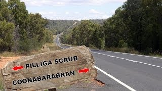 Yowie  Bigfoot Sighting Audio Report 06 on The Newell Hwy Pilliga Scrub Coonabarabran NSW [upl. by Norvil151]