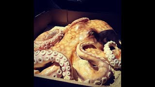 Kricky Cakes Decoration Airbrushed Realistic Octopus cake tutorial [upl. by Hopper200]