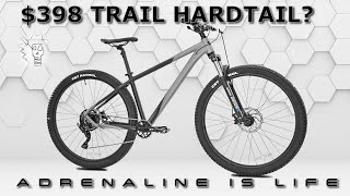 Is This Cheap Hardtail MTB Worth it A Look at the Kent Trouvaille 29er Mountain Bike [upl. by Marijo894]