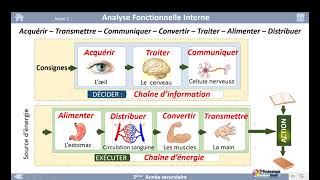 01 Activité de découverte Analyse Fonctionnelle Interne [upl. by Sacram]